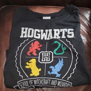Hogwarts Sweatshirt Harry Potter, Size L, School Of Witchcraft And Wizardry